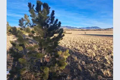 186 Boulder Road, Hartsel, CO 80449 - Photo 6