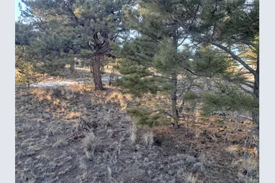 186 Boulder Road, Hartsel, CO 80449 - Photo 30