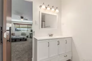 725 S Clinton St, Denver, CO 80247 - Photo 18