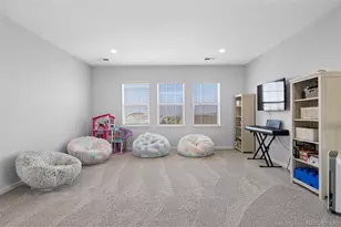11958 S Wanderlust Way, Parker, CO 80138 - Photo 24
