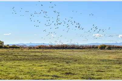0 County Road 15.5, Blanca, CO 81123 - Photo 2