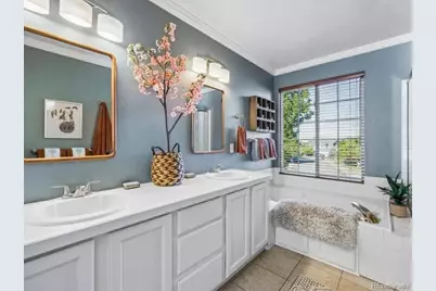 438 Sylvestor Trail, Highlands Ranch, CO 80129 - Photo 20