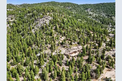 Spruce Court, Evergreen, CO 80439 - Photo 6
