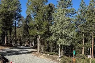 1667 Singletree Rd, Hartsel, CO 80449 - Photo 1