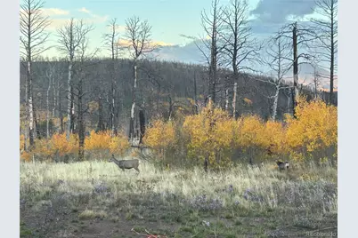 1944 Strauss Drive, Fort Garland, CO 81133 - Photo 8