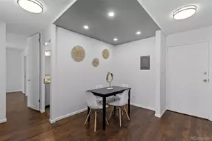 610 S Clinton St, Denver, CO 80247 - Photo 18
