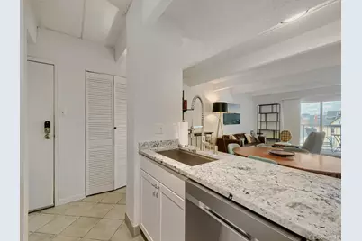 1433 N Williams Street #305, Denver, CO 80218 - Photo 8