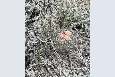 12510 Country Meadow Lane, Salida, CO 81201 - Photo 6