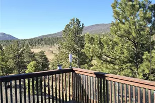 3580 Singletree Rd, Hartsel, CO 80449 - Photo 12