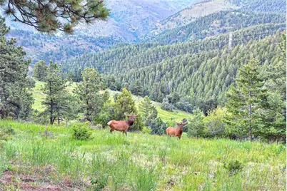 779 Kinnikinnik Hill, Golden, CO 80401 - Photo 50