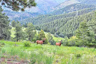 779 Kinnikinnik Hill, Golden, CO 80401 - Photo 50