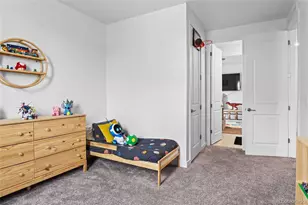 2917 Furthermore Ln, Castle Rock, CO 80108 - Photo 28