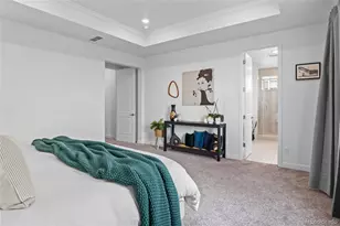 2917 Furthermore Ln, Castle Rock, CO 80108 - Photo 22