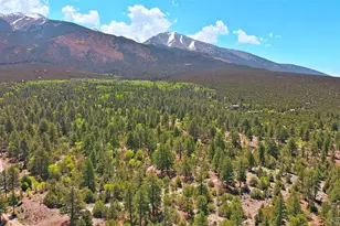 33 Big Bear Rd, Mosca, CO 81146 - Photo 26