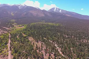 33 Big Bear Rd, Mosca, CO 81146 - Photo 24