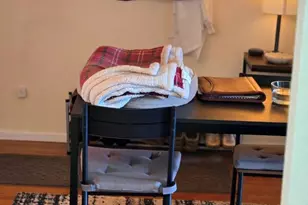 1250 Golden Cir, Golden, CO 80401 - Photo 24