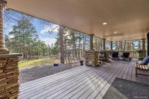 590 Grey Squirrel Way, Franktown, CO 80116 - Photo 16