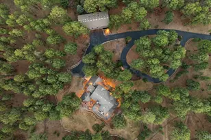 590 Grey Squirrel Way, Franktown, CO 80116 - Photo 44