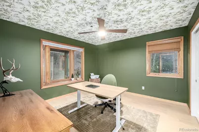 317 Ridge Road, Ward, CO 80481 - Photo 18