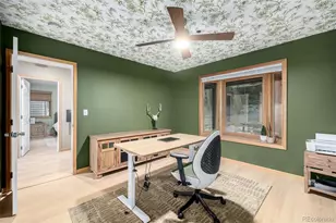 317 Ridge Rd, Ward, CO 80481 - Photo 22