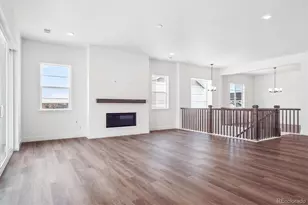 1607 Green Fern Pt, Castle Rock, CO 80104 - Photo 10