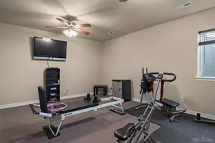 1676 Bent Wedge Point, Castle Rock, CO 80109 - Photo 38