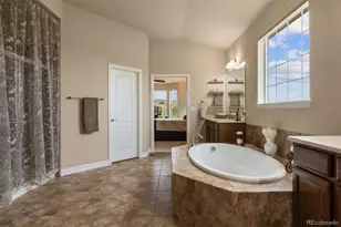 1676 Bent Wedge Point, Castle Rock, CO 80109 - Photo 26