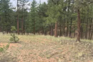 110 Wallace Dr, Florissant, CO 80816 - Photo 30