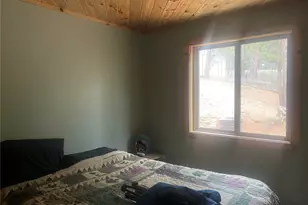 110 Wallace Dr, Florissant, CO 80816 - Photo 26