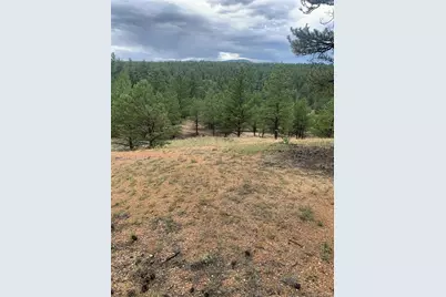 110 Wallace Drive, Florissant, CO 80816 - Photo 40