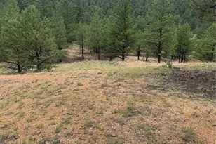 110 Wallace Dr, Florissant, CO 80816 - Photo 40