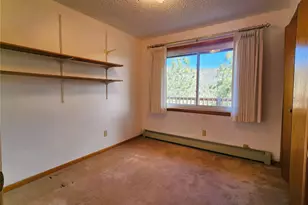 305 Divide View Dr, Idaho Springs, CO 80452 - Photo 32