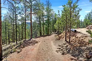 16536 Ouray Rd W, Pine, CO 80470 - Photo 32