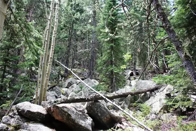 00 Hidden Wilderness Road, Idaho Springs, CO 80452 - Photo 10