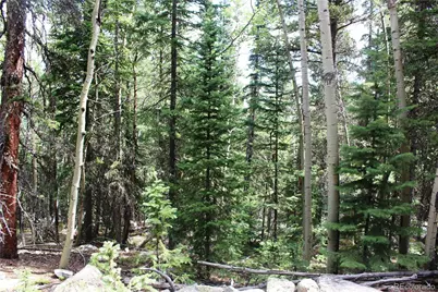 00 Hidden Wilderness Road, Idaho Springs, CO 80452 - Photo 12