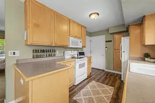 1645 S Chester Ct, Denver, CO 80247 - Photo 18
