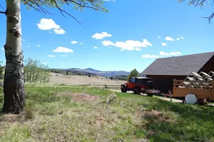 4653 Schierl Rd, Fort Garland, CO 81133 - Photo 34
