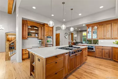 1197 Buffalo Ridge Road, Castle Pines, CO 80108 - Photo 10
