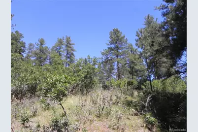 4144 Cheyenne Drive, Larkspur, CO 80118 - Photo 26