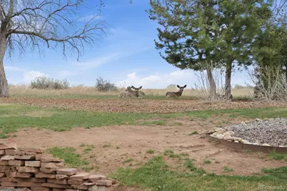 4 Blue Grouse Ridge Road, Littleton, CO 80127 - Photo 36