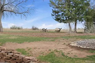 4 Blue Grouse Ridge Rd, Littleton, CO 80127 - Photo 36