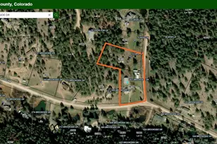 427 Brookside Dr, Bailey, CO 80421 - Photo 34