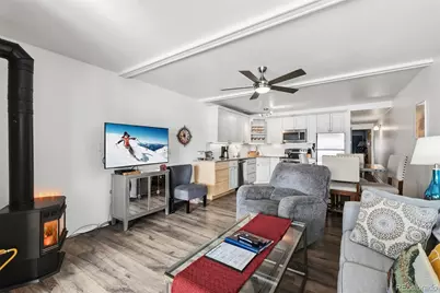 401 W La Bonte Street #202, Dillon, CO 80435 - Photo 8
