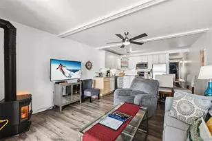 401 W La Bonte St, Dillon, CO 80435 - Photo 8
