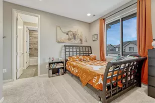 9147 Star Streak Cir, Littleton, CO 80125 - Photo 42
