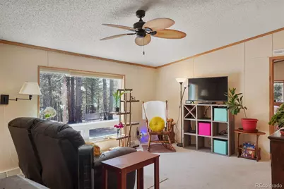 2450 Pathfinder Road, Florissant, CO 80816 - Photo 6