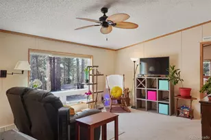 2450 Pathfinder Rd, Florissant, CO 80816 - Photo 6