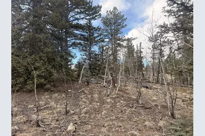 837 Concord Drive, Jefferson, CO 80456 - Photo 12