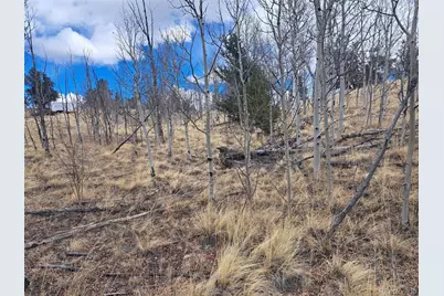 499 Kiowa Street, Como, CO 80432 - Photo 16