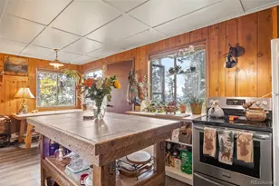 31327 Kings Valley W, Conifer, CO 80433 - Photo 20